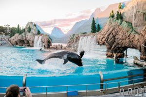 SeaWorld Wipes Out the Competition with ‘Most Rollercoasters’