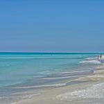 Guide to a Safe Floridian Summer